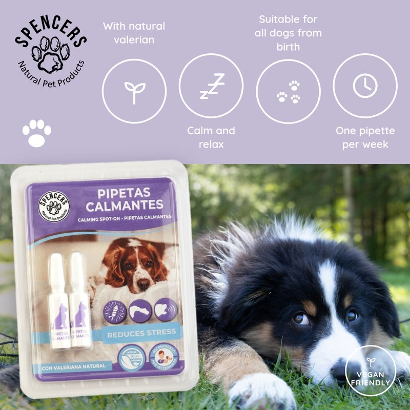 Spencers calming spot-on drops for dogs: with natural valerian, calm and relax, suitable for all dogs from birth, one pipette per week